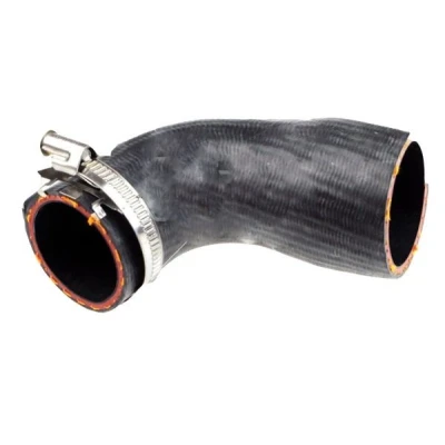 Imagem de BUGIAD 88840 Mangueira Para o Turbocompressor 56 com braçadeiras SKODA: Rapid Hatchback