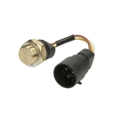 Imagem de Interruptor de temperatura, ventilador do radiador FAE 38220