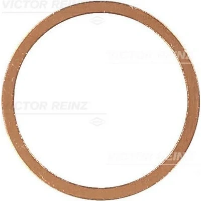 Imagem de Retentor REINZ 41 70245 00