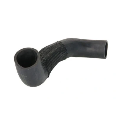 Imagem de THERMOTEC DWF303TT Mangueira Para o Turbocompressor