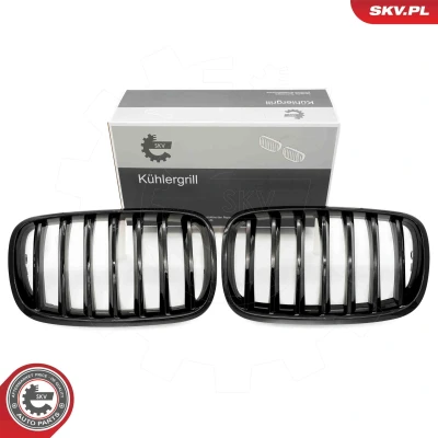 Imagem de ESEN SKV 66SKV282 Grelha de Radiador brilhante, preto BMW: X5