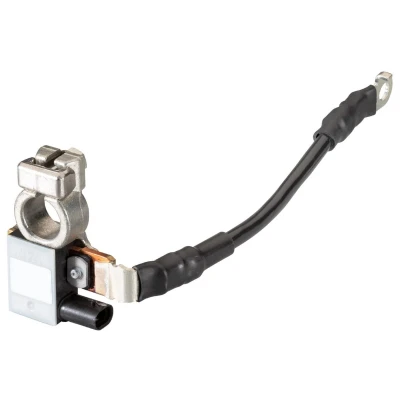 Imagem de HELLA 6PK 010 181 701 Sensor, gestão da bateria