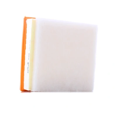 Imagem de PURFLUX A1538 Filtro de ar 65 206 228 Cartucho filtrante BMW: 3 Touring, Sedan, 1 Hatchback