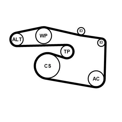Imagem de CONTITECH 5PK1815K1 Jogo de correias trapezoidais estriadas KIA: Sportage III