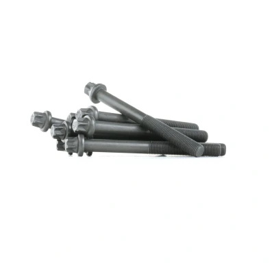 Imagem de REINZ 14 32040 01 Jogo de Parafusos da Cabeçote torx exterior OPEL: Calibra A, Astra F CC, Caravan