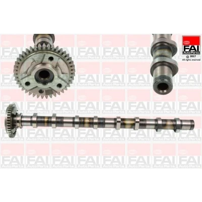 Imagem de FAI AutoParts C381 Árvore de Cames BMW: 1 Hatchback, 3 Touring, 5 Touring
