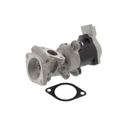 Imagem de MAPCO 83404 Válvula EGR elétrico PEUGEOT: 407 Sedan, Coupe, SW, CITROËN: C5 III Carrinha