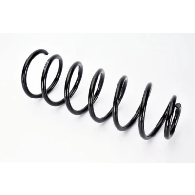 Imagem de Magnum Technology SX117MT Mola de suspensão Eixo traseiro helicoidal para veículos sem regulação nível