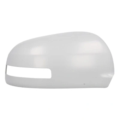 Imagem de Espelho retrovisor exterior painel de instrumentos BLIC 6103 15 2001864P