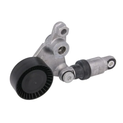 Imagem de INA 534 0024 10 Tensor, correia trapezoidal estriada RENAULT: Vel Satis