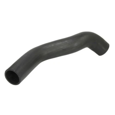 Imagem de THERMOTEC DCF119TT Mangueira Para o Turbocompressor FIAT: Grande Punto Hatchback, Evo Hatchback