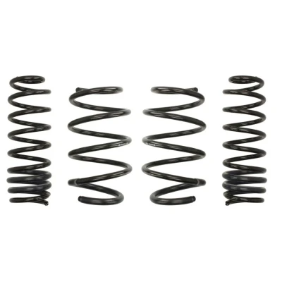 Imagem de EIBACH Pro Kit E10 75 012 03 22 de suspensão, molas RENAULT: MEGANE 3 Grandtour