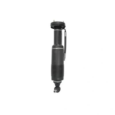 Imagem de Arnott SK 2412 Elemento de suspensão pneumática à frente, lado direito MERCEDES BENZ: SL Cabrio