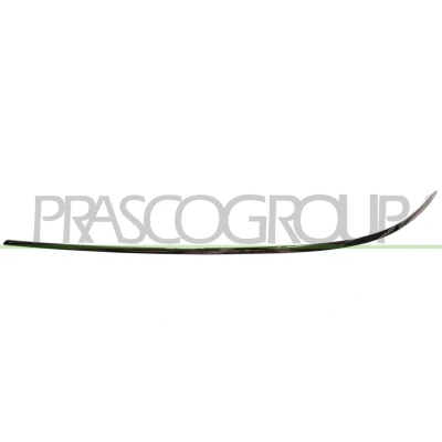 Imagem de Friso, pára choques PRASCO ME0431244