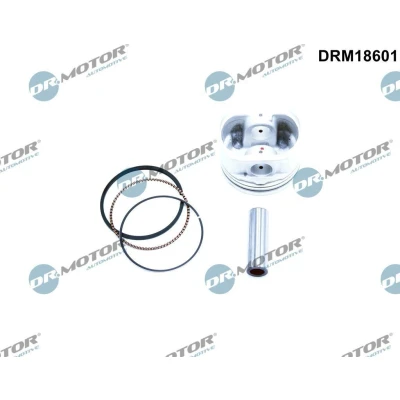 Imagem de Êmbolo Dr.Motor Automotive DRM18601
