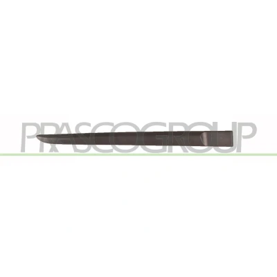 Imagem de PRASCO RN3251453 Friso Porta RENAULT: CLIO 3