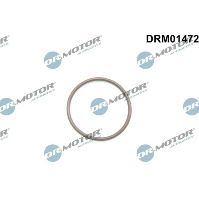 Imagem de Junta, bomba de combustível Dr.Motor Automotive DRM01472