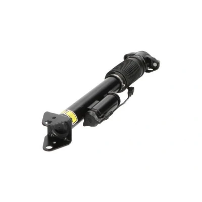 Imagem de KAVO PARTS SAS 10007 Elemento de suspensão pneumática Eixo traseiro MERCEDES BENZ: GL
