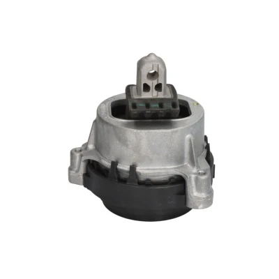 Imagem de Suporte do motor REINHOCH RH11 3138