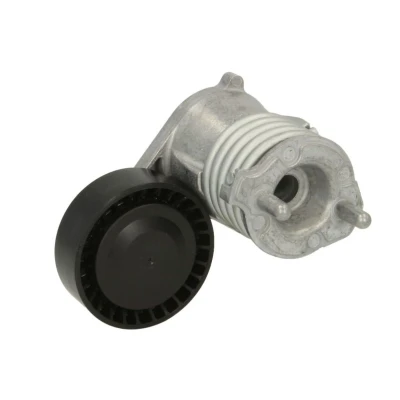 Imagem de DAYCO APV3019 Tensor da Correia VOLVO: V50