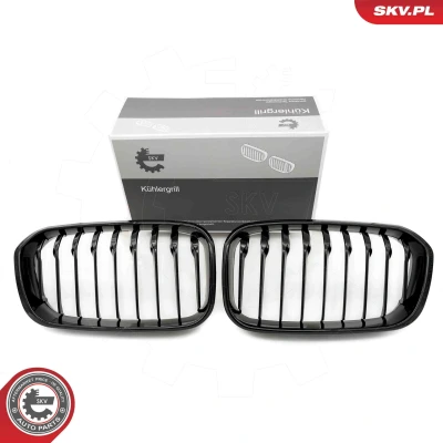 Imagem de ESEN SKV 66SKV020 Grelha de Radiador brilhante, preto BMW: 1 Hatchback