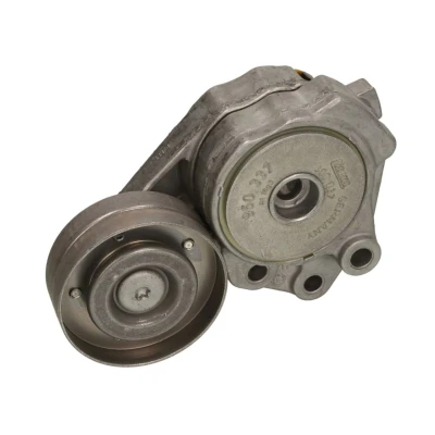 Imagem de INA 534 0374 10 Tensor, correia trapezoidal estriada VOLKSWAGEN: Passat B6 Variant, Golf 6, 5, AUDI: A1 Sportback