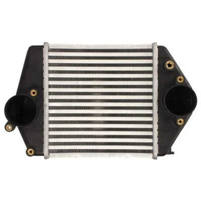 Imagem de NISSENS 96570 Intercooler