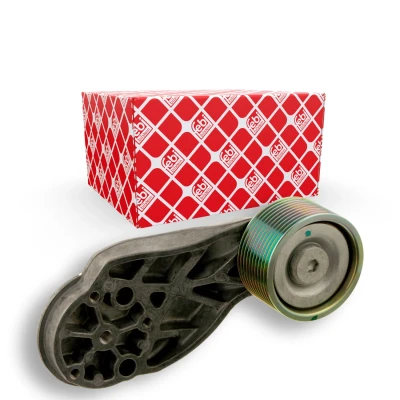 Imagem de FEBI BILSTEIN 30646 Polia de Desvio com suporte