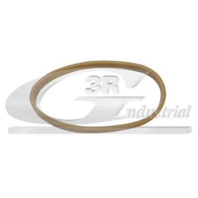 Imagem de 3RG 82686 Junta de Coletor Admissão RENAULT: CLIO 3, MEGANE 2