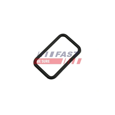 Imagem de FAST FT57407 Juntas RENAULT: Clio 2 Kasten, 4