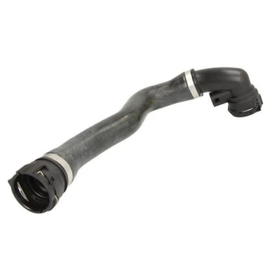 Imagem de THERMOTEC DWB059TT Mangueira de Radiador à frente, lado direito BMW: X5