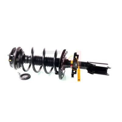 Imagem de GH 353975C01 Conjunto mola/amortecedor