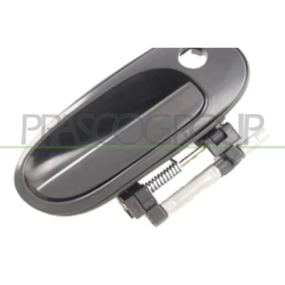 Imagem de PRASCO DS4228001 Puxadores de Porta exterior, à frente, lado direito preto liso NISSAN: Almera II Hatchback