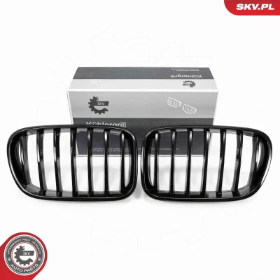 Imagem de ESEN SKV 66SKV248 Grelha de Radiador preto, brilhante