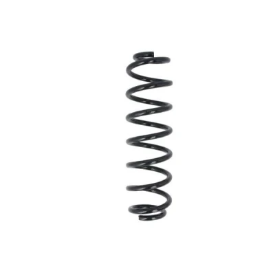 Imagem de Mola de suspensão MAGNUM TECHNOLOGY SW209