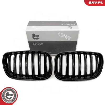 Imagem de ESEN SKV 66SKV276 Grelha de Radiador brilhante, preto BMW: X5