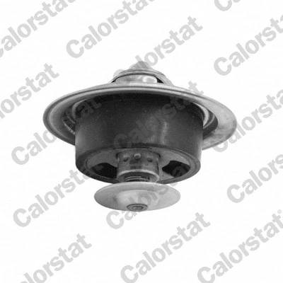 Imagem de Termóstato, líquido de refrigeração CALORSTAT by Vernet TBS1001.82