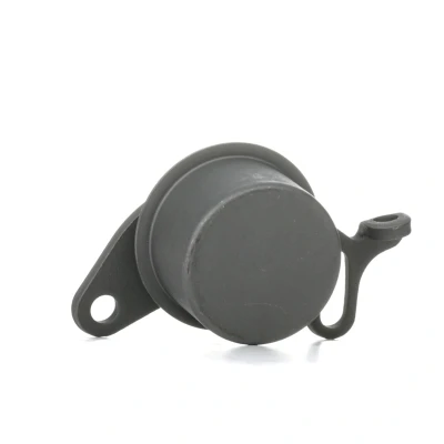 Imagem de FEBI BILSTEIN 06880 Rolo tensor, correia dentada