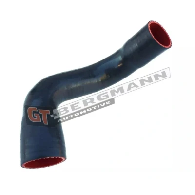 Imagem de GATES 09 1311 Mangueira Para o Turbocompressor Silicone RENAULT: MEGANE 2 Kombi, 2, SCENIC