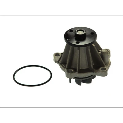 Imagem de THERMOTEC D1G033TT Bomba de água com junta mecânico FORD: Galaxy Mk1 MPV, Sierra Hatchback, Mk2 Sedan