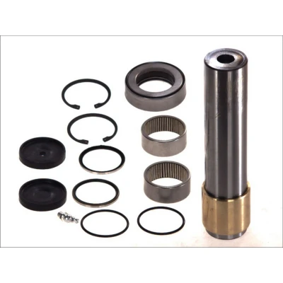 Imagem de Kit de reparação, pivô do munhão eixo C.E.I 230080