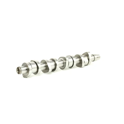 Imagem de FEBI BILSTEIN 29852 Árvore de Cames VOLKSWAGEN: Golf 4, Passat B5 GP Variant, Transporter 5, AUDI: A4 B6 Sedan, A3 Hatchback, A6 C5 Avant endado,