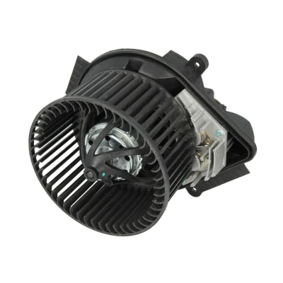 Imagem de THERMOTEC DDP001TT Motor eléctrico, ventilador do habitáculo