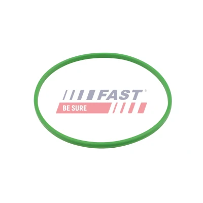 Imagem de FAST FT48433 Jogo de juntas, carregador