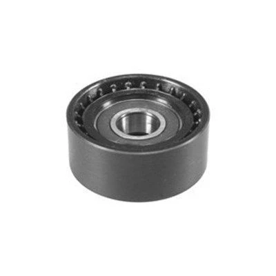 Imagem de MAGNETI MARELLI 331316170014 Polia de desvio/de guia, correia trapezoidal