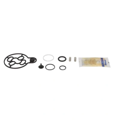 Imagem de Kit de reparação, servo da embraiagem WABCO 4630320012