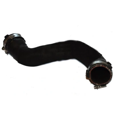 Imagem de BUGIAD 81991 Mangueira Para o Turbocompressor 45 AUDI: A4 B7 Sedan, Avant