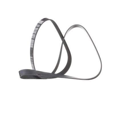 Imagem de Correia em V Poly DAYCO 6PK1555