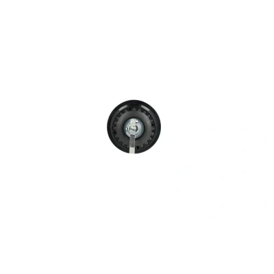 Imagem de NRF 380187 Embreagem de Compressor Ar Condicionado GENUINE ZEXEL DCS17, KC MERCEDES BENZ: Classe C T modell