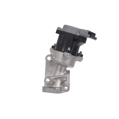 Imagem de VALEO ORIGINAL PART 700411 Válvula EGR elétrico sem radiador da recirculação dos gases de escape, juntas &#039;bypass&#039; vácuo, braçadeira